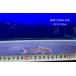 (A310) Sturgeon si- кошка [ Indonesia производство ]±10cm