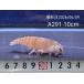 (A291)L размер! Africa n блокировка шримс ±10cm