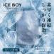 si- Be Japan лёд Boy нержавеющая сталь охлаждающие средства почтовая доставка охлаждающие средства .. данный нержавеющая сталь твердый лёд упаковка термос 