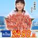  sashimi for northern shrimp approximately 1kg( approximately 50~60 tail )