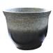 [10% Point UP] fishbowl stylish water lily pot ceramics me Dakar pot water pot Shigaraki .20 number white old kiln change heaven water pot Shigaraki .