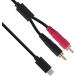 TRUE DYNAtu Roo Dyna USB изменение кабель USB-C/RCA×2 2m TD-USB-RCA2