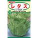  lettuce noble SP [to- ho k03514 ]