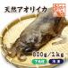  натуральный борт кальмар местного производства L размер 800g/1kg рефрижератор [ морепродукты ]