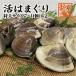 . is ... extra-large size 90g~140g 7~11 piece 1kg minute domestic production [ is ...]