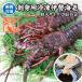  sashimi для Исэ город море ... рефрижератор очень большой размер 2 хвост входить 1.0kg бесплатная доставка [.. рефрижератор Исэ город море .]