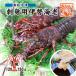  sashimi для Исэ город море ... рефрижератор маленький размер 120~160g[ sashimi для Исэ город море .]( входить число :1 хвост )