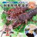 * sashimi для Исэ город море ... рефрижератор стандарт размер 230~270g [ sashimi для Исэ город море .]( входить число :20 хвост *)