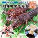 * sashimi для Исэ город море ... рефрижератор стандарт размер 230~270g [ sashimi для Исэ город море .]( входить число :5 хвост *)
