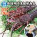  sashimi для Исэ город море ... рефрижератор довольно большой размер 330~400g [ sashimi для Исэ город море .]( входить число :1 хвост )