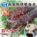  sashimi для Исэ город море ... рефрижератор очень большой размер 1 хвост 800g~1kg бесплатная доставка [.. рефрижератор Исэ город море .]