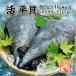 . Thai lagi( flat ./ хочет ..)800g~1kg размер [..]