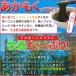 �ɐ��u���Y ������������ �P�O�O�� ���[���֑������� �A�J���N �M�o�T �O�d���Y �����̂��������P�O�O���g�p �`���b�N�t�ܓ� �֘A�摜2