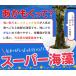 �������� ���� ���� �A�J���N �W�O�� �ɐ��u���̗����Ŏ��n �������� �M�o�T �C�� �֘A�摜4