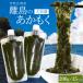 離島 あかもく お得な大容量チューブタイプ ２００ｇ×１５パック 伊勢志摩産 送料無料 アカモク ギバサ 海藻 湯通し 刻み加工済 瞬間冷凍