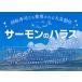 �T�[���� �n���X �؂藎�Ƃ� �������p�b�N �h�g�p ���E�t��ǂ��炩�I�ׂ� �P�����i�Q�O�O���~�T�p�b�N�j �T�C�Y�s���� ���l�ł��i �g�� ���H �Ⓚ �֘A�摜3