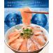 �T�[���� �n���X �؂藎�Ƃ� �������p�b�N �h�g�p ���E�t��ǂ��炩�I�ׂ� �P�����i�Q�O�O���~�T�p�b�N�j �T�C�Y�s���� ���l�ł��i �g�� ���H �Ⓚ �֘A�摜4