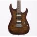 ( б/у )SUHR / ( б/у )SUHR / Standard Bengal Burst ( долгое время витрина выставленный товар outlet )(. чай no вода головной офис ) (. чай no вода головной офис )( снижение цены )