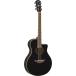 YAMAHA / APX-600 BL (Black) APX600BL(οŹ)