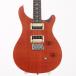 ()PRS SE / 25th Anniversary SE Custom 24 (ëŹ)