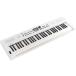 Roland / GOKEYS5-WH (GO:KEYS 5) белый Digital Keyboard( Shibuya магазин )