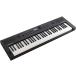 Roland �������� / GOKEYS5-GT (GO:KEYS 5) ����ե����� Digital Keyboard(�����󤻾���)(��ëŹ)