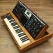 ( б/у ) MOOG / Minimoog Voyager Performer Edition V3.5 Bb Mw GOLD KNOB ( клавиатура mart Shinjuku )( Shinjuku магазин )