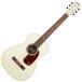 Gretsch / Jim Dandy Parlor Limited Model Walnut Fingerboard Tortoise Pickguard, Vintage White Gretsch [ ограниченная модель ]