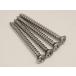 Fender / Neck Mounting Screws (4) 099-4948-000