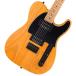 Fender / FSR American Professional II Telecaster HH Roasted Maple Neck Sandblasted Aged Natural [Х] ե(Ź)(YRK)
