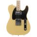 ( б/у )Fender / ISHIBASHI FSR MIJ Traditional 50s Tele Ash w/Wide-Range CuNiFe / Texas Special [4.26kg/2024 год производства ] крыло ( Ikebukuro магазин )