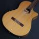 Fender / CN-140SCE Nylon Thinline Walnut Fingerboard Natural w/Case �i�C������ �G���K�b�g (���l�X)(S/N:IWA2612290)(1.67kg)