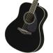 YAMAHA / LL6 ARE Black (BL)(��p�P�[�X��) �A�R�[�X�e�B�b�N�M�^�[ LL6ARE LL-6 (���l�X)