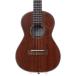 ( б/у )T's Ukulele / TMS-220 ( слива рисовое поле магазин )