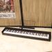( б/у )KORG / D1 ( слива рисовое поле магазин )