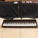 ( б/у )YAMAHA / P-140 ( слива рисовое поле магазин )