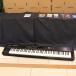 ( б/у )Roland / RD-300NX Digital Piano ( слива рисовое поле магазин )