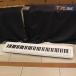( б/у )CASIO / PX-S1000WE ( слива рисовое поле магазин )