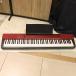 ( б/у )CASIO / PX-A100RD ( слива рисовое поле магазин )