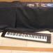 ( б/у )YAMAHA / NP-31 ( слива рисовое поле магазин )