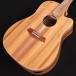 Cole Clark / Touring Series CCFL2EC-BLBL 2 Grade All Blackwood S/N:250740309 (ضŹ)
