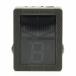 (����)KORG / PB-XS BASS (�S�֋��X)