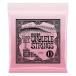Ernie Ball / 2330 Concert/Tenor Wound Low G Nylon Ball End Ukulele Strings Clear ( Fukuoka магазин )