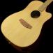 ()Cole Clark / FL Dreadnought CCFL2EC-BB Bunya Top Blackwood Back and Sides (ʡѥ륳Ź)