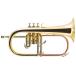J.Michael / FG-500 �W�F�C�}�C�P�� �t�����[�Q���z���� ���b�J�[�d�グ(�o�בO���i)(1�N�ۏ�)
