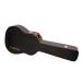 Epiphone / Acoustic AJ Dreadnought Hard Case (940-EDREAD)�n�[�h�P�[�X �A�R�[�X�e�B�b�N�M�^�[�p
