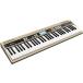 Roland ���[�����h / JUSTY HK-100 �n�[���j�[�����Y�����K�p�L�[�{�[�h(YRK)