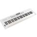 Roland Roland / GOKEYS5-WH (GO:KEYS 5) белый Digital Keyboard