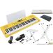 Roland Roland / GOKEYS3-MI (GO:KEYS 3 MINION) ( старт комплект!) Mini on Digital Keyboard