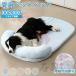 to коврик ... . домашнее животное коврик собака кошка .... домашнее животное bed ...... летний коврик прохладный прохладный коврик для домашних животных весна лето холодный хочет .. хочет охлаждающий коврик . покупка 